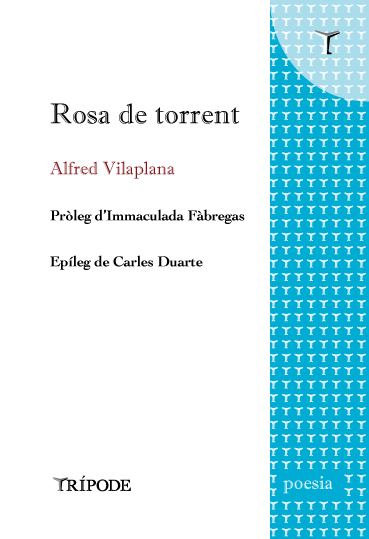 Rosa de torrent, d'Alfred Vilaplana